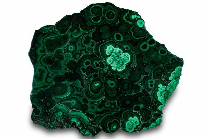 Flowery Polished Malachite Slab - DR Congo #319862